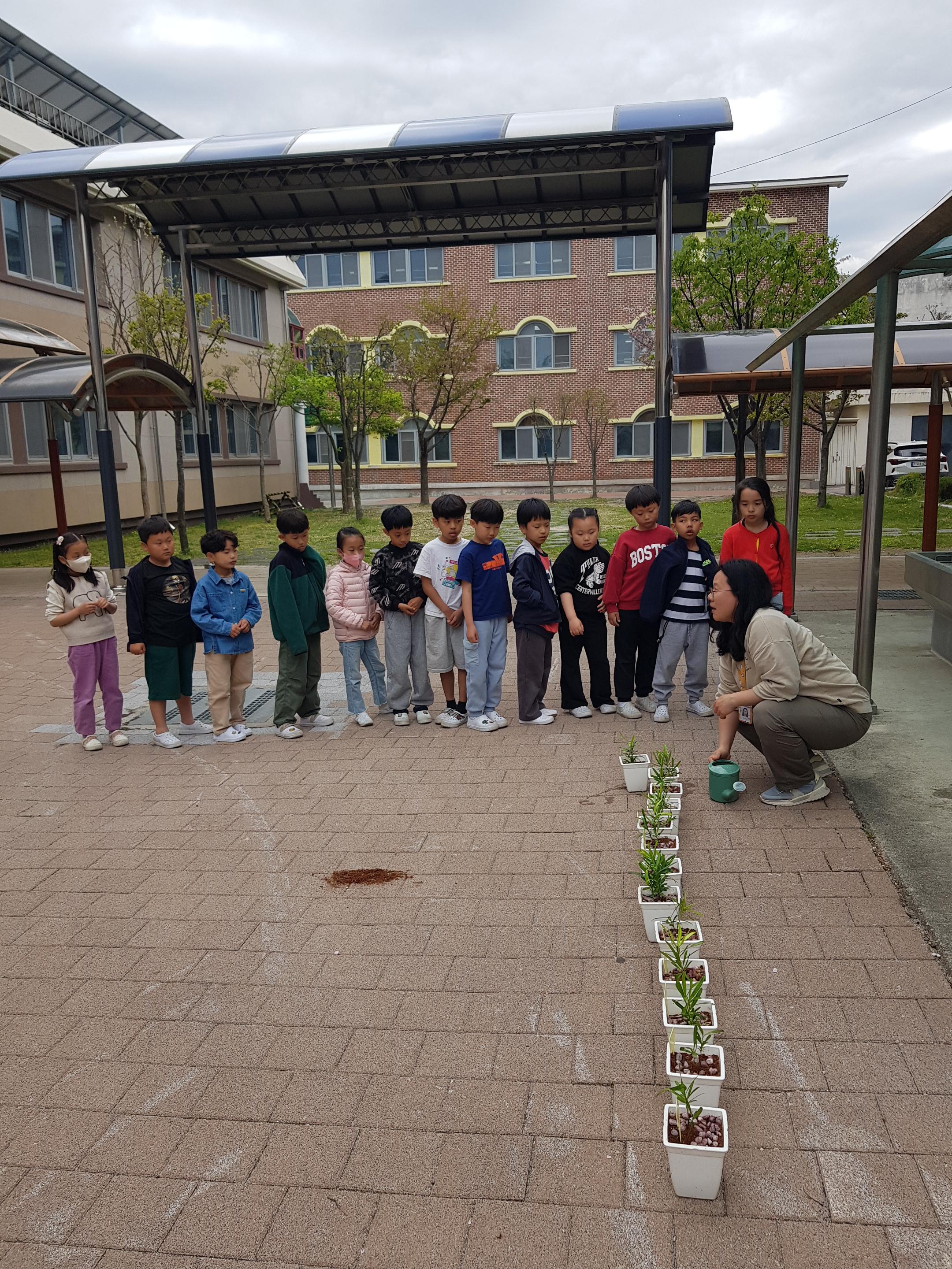 2026학년도 찾아가는 환경교육 프로그램 운영 사진