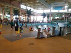 워터피아 체험활동 사진