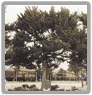 2010-08-10 11;40;41.jpg